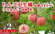 【令和8年産先行予約】 JA 中生種りんご 「早生系ふじ (涼香の季節･昴林)･秋陽･秋映 等」 約2kg (5～8玉 秀) 《令和8年9月下旬～10月中旬発送》 『JA山形おきたま』 林檎 リンゴ 果物 フルーツ 山形県 南陽市 [2654]