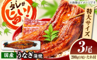 【うなぎの美味しさはタレで決まる！】自慢の味・国産活うなぎ蒲焼（3本入）| うなぎ タレ 蒲焼 国産 美味しい うな丼 鰻重 魚 島根県雲南市/有限会社石田魚店 [AICQ009]