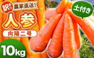 【先行予約】【訳あり】農家直送！ 土付き 人参 （向陽二） 10kg 【2025年12月上旬から2026年2月下旬頃発送予定】 にんじん ニンジン ZS-792