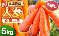 【先行予約】【訳あり】農家直送！ 不揃い 人参 （向陽二） 5kg 【2025年12月上旬から2026年2月下旬頃発送予定】 にんじん ニンジン ZS-6137