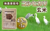 【新米】無農薬栽培 コシヒカリ 玄米【0119】