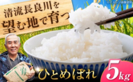 慣行米 ひとめぼれ 5kg お米 白米 精米 岐阜市 / 羽賀政夫 [ANDZ003]