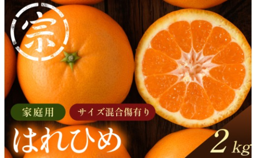 【先行予約】はれひめ（家庭用）約2kg【K003590K2】2026年12月上旬～2027年1月上旬に順次発送予定 愛媛県 今治市 先行予約 今治産 宗方 はれひめ みかん フルーツ 甘い 柑橘 果物 愛媛みかん ふるさと納税 宗方印 2465090 - 愛媛県今治市