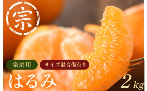 【先行予約】はるみ（家庭用）約2kg【K003580K2】2027年1月中旬～2月上旬に順次発送予定 愛媛県 今治市 先行予約 今治産 宗方 みかん フルーツ 甘い 柑橘 果物 愛媛みかん ふるさと納税 宗方印 2465091 - 愛媛県今治市