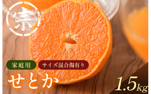 【先行予約】せとか（家庭用）約1.5kg【K003570K1.5】2027年3月上旬～3月下旬に順次発送予定 愛媛県 今治市 先行予約 今治産 宗方 せとか みかん フルーツ 甘い 柑橘 果物 愛媛みかん ふるさと納税 宗方印 2465092 - 愛媛県今治市