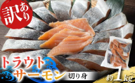 長根水産の 《訳あり》トラウトサーモンの切り身 約1kg×1袋 鮭 さけ オランダ島 サーモン 三陸山田 山田町 山田湾 海産品 YD-1029