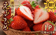 ↓寄附額改定↓ いちご 越後姫 3L〜2L 12粒 or 15粒 特別寄附額 朝採り 当日発送 苺 イチゴ えちごひめ 朝どれ 朝摘み 生産者直送 農家 直送 数量限定 季節限定 期間限定 限定 須貝いちご園 新潟 新発田 sugai001_01