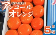 M02-0106_[先行予約]希少な果実!「アンコールオレンジ」 約5kg