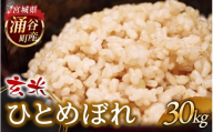 令和7年産 ひとめぼれ 30kg 玄米
