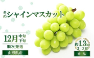 [令和8年産先行予約] JA 冬のシャインマスカット 約1.3kg (2〜3房 秀) [令和8年12月中旬〜下旬発送] 『JA山形おきたま』 マスカット ぶどう 果物 フルーツ デザート 山形県 南陽市 [2055-R8]