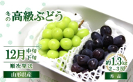 [令和8年産先行予約] JA 冬の高級ぶどう 「シャインマスカット + おすすめぶどう (ウィンク等) 」 約1.3kg (計2〜3房 秀) [令和8年12月中旬〜下旬発送] 『JA山形おきたま』 マスカット ぶどう 果物 フルーツ デザート 山形県 南陽市 [2056-R8]