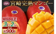 予約受付！＜宮崎県産 完熟マンゴー B等級 3Lサイズ×2玉（合計約900g）＞2023年5月中旬～6月末迄に順次出荷