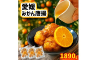 愛媛みかん唐揚  45個  【10月中旬頃～2月下旬頃順次発送】 唐揚げ から揚げ カラアゲ 冷凍食品 小分け 便利 惣菜 おかず 簡単調理 弁当 みかん漬けタレ 国産鶏 人気 おすすめ 送料無料 愛媛県 松山市