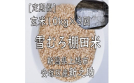 令和7年 新潟県産 棚田米 新之助 玄米 定期便 30kg 30キロ (10kg×3回) 雪中貯蔵 雪むろ しんのすけ お米 こめ 新潟 上越 米 送料無料