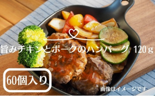 ハンバーグ 冷凍 チキン ポーク 120g 60個 冷凍ハンバーグ ハンバーグセット ジューシー ふっくら 柔らか 温めるだけ レンジ 簡単調理 食卓 家庭 業務用 和風 洋風 中華 ソース 食べ比べ 牛豚合挽き 焼き上げ 牛肉 おかず パーティー 香川県 観音寺市 2467091 - 香川県観音寺市