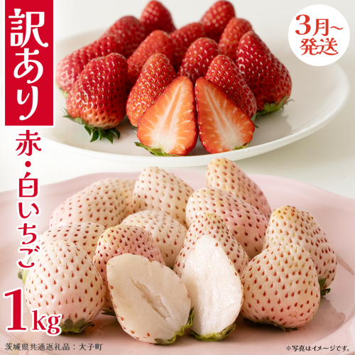 訳あり 紅白いちご 1kg【2026年3月発送開始】(茨城県共通返礼品：大子町) 苺 果物 フルーツ 果実 ご家庭用 
 2467122 - 茨城県牛久市