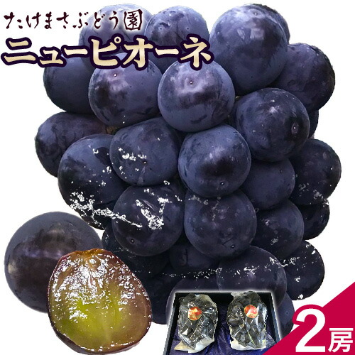 【2026年先行予約】ニューピオーネ 2房(1房500g前後) たけまさぶどう園 《2026年7月中旬-10月中旬頃出荷》岡山県 浅口市 送料無料 フルーツ 果物 岡山県産 青果物 お取り寄せフルーツ 岡山産 ふるさと納税 ピオーネ 岡山 ふるさと納税 ぶどう 岡山【配送不可地域あり】(離島) 2467326 - 岡山県浅口市