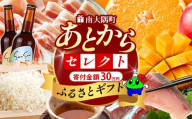 あとからセレクト【ふるさとギフト】30万円分 MN-22 │ 300000 鹿児島県 南大隅町 あとから選べる 返礼品 特産品 プラン 選べる返礼品 あとから選べる ギフト ギフトポイント 後から選ぶ カタログギフト
