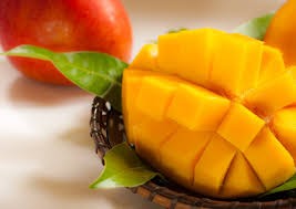 【全3回お届け】至極 完熟マンゴー 4L・2玉［Z21］
 2467916 - 宮崎県綾町