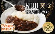 柳川黄金博多和牛カレー 3食分（200g）×3箱【TVで話題!!】 柳川 黄金 博多 和牛 カレー お肉 肉 牛肉 カレーライス ルー 黄金カレー 国産 200g 3箱