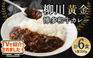 柳川黄金博多和牛カレー 6食分（200g）×6箱【TVで話題!!】 柳川 黄金 博多 和牛 カレー お肉 肉 牛肉 カレーライス ルー 黄金カレー 国産 200g 6箱