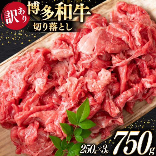 牛肉 訳あり A4 A5 博多和牛 切り落とし 250g 3p 計750g [木村食品 福岡県 宇美町 um40beg040037] 訳アリ 牛 肉 牛バラ 肩肉 バラ肉 2467980 - 福岡県宇美町