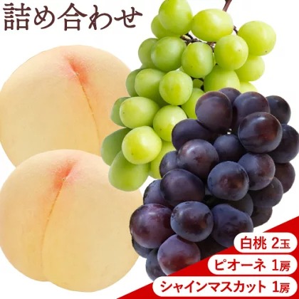 【先行予約】桃 ぶどう 白桃 2玉 約600g（1玉約300g）シャインマスカット 晴王 1房 550g以上 ピオーネ 1房 550g以上 もも 葡萄 詰合せ 岡山 国産 フルーツ 果物 桃茂實苑《6月中旬-8月下旬頃出荷》岡山県 浅口市 フルーツ【配送不可地域あり】 2467989 - 岡山県浅口市