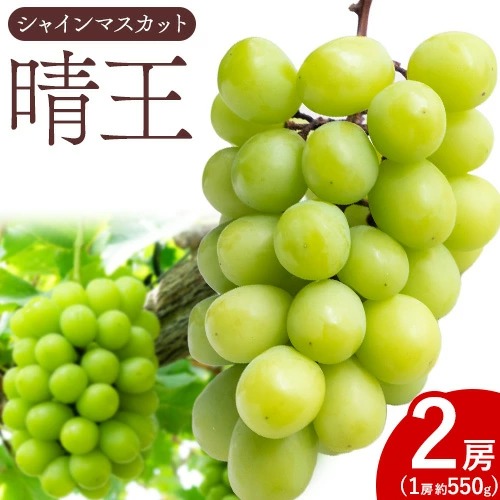 【先行予約】シャイン マスカット 晴王 2房（1房550g以上）マスカット ブドウ 葡萄 岡山県産 国産 フルーツ 果物 ギフト 桃茂實苑《7月上旬-8月中旬頃出荷》岡山県 浅口市 フルーツ ぶどう 果物 青果 旬 葡萄 国産 岡山県産【配送不可地域あり】
 2467991 - 岡山県浅口市