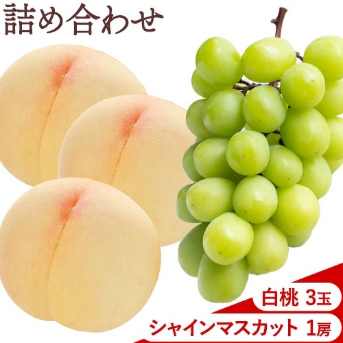 【先行予約】桃 ぶどう 白桃 3玉 約900g（1玉約300g）シャインマスカット 晴王 1房 550g以上 もも 葡萄 詰合せ 岡山 国産 フルーツ 果物 ギフト 桃茂實苑《6月中旬-8月中旬頃出荷》岡山県 浅口市 フルーツ ぶどう 果物 青果【配送不可地域あり】
 2467992 - 岡山県浅口市