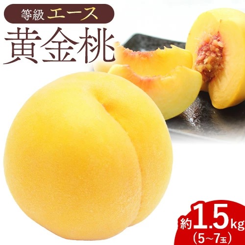 【先行予約】黄金桃 等級 エース 約1.5kg 5～7玉入り もも モモ 岡山 国産 フルーツ 果物 桃茂實苑《8月中旬-9月上旬頃出荷》岡山県 浅口市 フルーツ 桃 もも 果物 青果【配送不可地域あり】
 2467994 - 岡山県浅口市