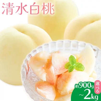 【先行予約】清水白桃 選べる内容量 約900g 約1.5kg 約2kg もも モモ 岡山 国産 フルーツ 果物 桃茂實苑《7月中旬-8月上旬頃出荷》岡山県 浅口市 フルーツ モモ 果物 青果 旬 白桃 国産 岡山県産【配送不可地域あり】 2467996 - 岡山県浅口市