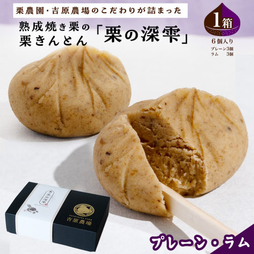 栗きんとん 「 栗の深雫 」 プレーン3個 ＆ ラム3個入り 1箱 ～くりのしずく～ 6個 完熟 栗 くり クリ 和菓子 おかし お菓子 贈り物 ギフト 果物 フルーツ 秋 冬 [CX030ci] 2468003 - 茨城県筑西市