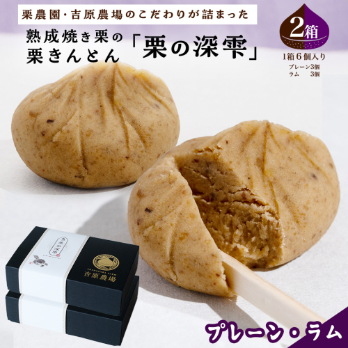 栗きんとん 「 栗の深雫 」 プレーン3個 ＆ ラム3個入り 2箱 ～くりのしずく～ 12個 完熟 栗 くり クリ 和菓子 おかし お菓子 贈り物 ギフト 果物 フルーツ 秋 冬 [CX031ci] 2468007 - 茨城県筑西市