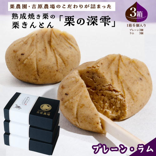 栗きんとん 「 栗の深雫 」 プレーン3個 ＆ ラム3個入り 3箱 ～くりのしずく～ 18個 完熟 栗 くり クリ 和菓子 おかし お菓子 贈り物 ギフト 果物 フルーツ 秋 冬 ［CX032ci］ 2468008 - 茨城県筑西市