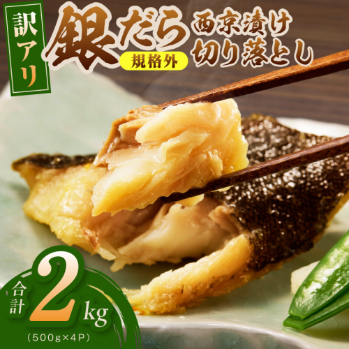 【規格外】銀鱈 西京漬け 切り落とし 2kg【訳あり サイズ不揃い 小分け 500g×4P 熟成 銀だら ぎんだら ギンダラ 海産物 魚 惣菜 西京焼き お酒のあて】 G4964 2468046 - 大阪府泉佐野市