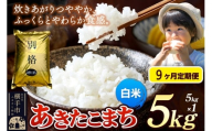 《令和7年産》《定期便9ヶ月》 米 あきたこまち 5kg 【白米】 秋田県産