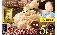 《令和7年産》《定期便9ヶ月》 米 あきたこまち 5kg 【玄米】 秋田県産