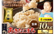 《令和7年産》《定期便4ヶ月》 米 あきたこまち 10kg（5kg×2袋） 【玄米】 秋田県産