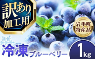 【訳あり加工用】岩手町産冷凍ブルーベリー1kg フルーツ 果物 くだもの おやつ スイーツ デザート ジャム スムージー ヨーグルト お菓子作り 冷凍 訳あり 加工用 業務用 岩手県 岩手町 岩手缶詰