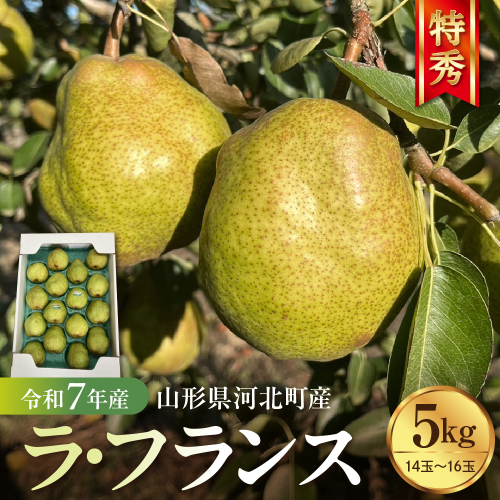 【令和8年産】食べ頃がわかる！ 洋梨「ラ・フランス」 特秀 約5kg 山形県河北町産 【河北町観光物産協会】　ka002-003-r8 2468483 - 山形県河北町