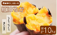【2026年先行予約】蒜山の柴田さん家の紅はるか 10kg / さつまいも 紅はるか 岡山県 真庭市 蒜山 【sbta003-01】