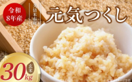 【2026年10月より順次発送】福岡県産ブランド米元気つくし 玄米 30kg【令和8年産 新米】 _  元気つくし 30kg 福岡県産 ブランド米 新米 福岡生まれ 品種 香り豊か ふっくら 食感 ご飯 おにぎり 弁当 お米 食品 お取り寄せ 九州 久留米市産 福岡県 久留米市 送料無料 _Gr093