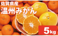 【先行予約】 佐賀県産 みかん（5kg）　潮風ファーム 大津 みかん 柑橘 温州みかん