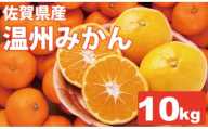 【先行予約】 佐賀県産 みかん（10kg）　潮風ファーム 大津 みかん 柑橘 温州みかん