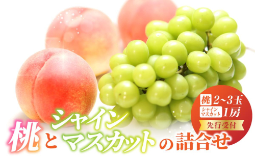 《先行受付》桃とシャインマスカットの詰合せ【2026年9月頃より順次発送予定】 060-017 2468943 - 山形県大江町