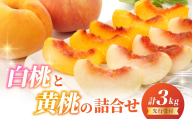 《先行受付》白桃と黄桃詰合せ3kg【2026年8月頃より順次発送予定】 060-016