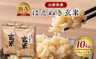 【令和7年産】はえぬき 玄米 5kg（5kg×1袋）2025年産【2025年10月頃から順次発送予定】　013-C-JF039-R7