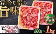 飛騨牛 切り落とし 計500g（250g×2パック） 等級 部位お任せ 牛肉 飛騨牛 切り落とし きりおとし 切りおとし 肉 牛肉 和牛 炒め物 牛丼 生姜焼き しょうが焼き 岐阜市 / だるまミート [ANBE013]