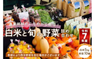 農業姉妹がこだわって栽培！白米5kgと旬の厳選野菜10種【024C-001】