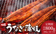 ＜2026年7月配送開始／定期便2回＞ うなぎ蒲焼き 計800g (200g×2尾×2回) ／うなぎ 鰻 ウナギ 蒲焼 蒲焼き 土用 丑の日 特選 肉厚 たれ 国産 ふるさと 鰻丼 鰻重 うな重 うなぎたれ ギフト 贈り物 佐賀 佐賀県 送料無料